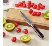 Cuchillo de cocina de 3,5 pulgadas, cuchillo de fruta de acero inoxidable con imitación de patrón de Damasco 1pcs