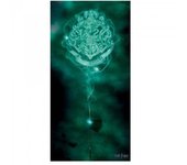 Cresta de Harry Potter Patronus Hogwarts Lienzo 100cm x verde