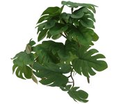 Terrario de plástico con hojas de tortuga de ratán para reptiles, ideal para dragones barbudos, lagartos, geckos y serpientes.