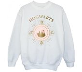 HARRY POTTER Sudadera Constelación de Hogwarts para Niñas 12-13 blanco