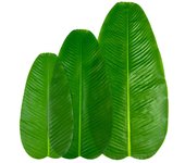 Planta artificial de hoja falsa, hoja única, hoja de plátano, hoja verde, mantel individual para mesa de casa, decoración de plantas verdes small
