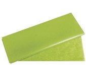Papel de seda - RAYHER - Verde Hauser Claro - Resistente a la luz - 50x75cm - 17g/m²