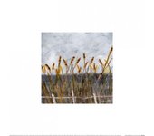 Póster de juncos otoñales de Louise O'Hara 30cm x
