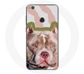 Coque pour Huawei P8 Lite 2017 Chien de Pitbull marron