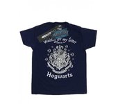 HARRY POTTER Camiseta Hogwarts esperando mi carta para hombre L blanco