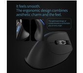 ZELOTES F-36A Ratón inalámbrico 2.4G Carga Blu-ray Ratón óptico de 6 botones 3 niveles DPI negro negro