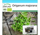 SAFLAX - Set de regalo - Orgánico - Mejorana - 700 semillas - Con caja de regalo, tarjeta, etiqueta y sustrato para macetas - Origanum majorana