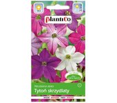 Tabaco alado 0,3 g de semillas de flores para el jardín.