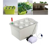 Kit de cultivo de caja de vivero de plantas de cultivo sin suelo con sistema hidropónico de 6 agujeros para interiores without Air Pump verde