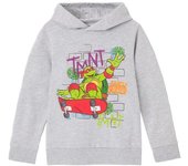 Teenage Mutant Ninja Turtles Sudadera con capucha Shell Skater para niños/niños 7-8 Years gris