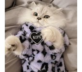 Estampado de leopardo para invierno, mascota de peluche gruesa, además de terciopelo para mantener el calor, felpa francesa, incluso gato, gato azul, gato corto inglés, ropa acolchada de algodón S
