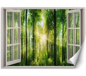 Fondo de pantalla Vista de la ventana Rayos de sol en el bosque 140x100 verde