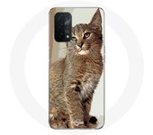 Coque pour Oppo A74 5G Siamois Race de chats