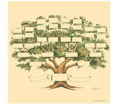 Gráfico de árbol genealógico de 6 generaciones Gráfico de árbol genealógico para historia familiar y ascendencia