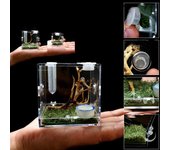 Caja de acoplamiento para reptiles, pequeños reptiles, acrílico transparente, caja de alimentación para insectos, tanque de terrario, escape de prueba para el FWEF s-S