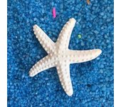 Estrella de mar artificial realista de plástico para pared. naranja