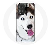 Coque pour Samsung Galaxy A52 Husky Blanc de Sibérie Yeux Bleus