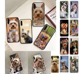 Funda de teléfono con diseño de perro Yorkshire Terrier para Samsung Galaxy A30, A20, S20, A50S, A30S, A71, A10S, A6 plus Samsung A51