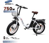 Bicicleta eléctrica plegable todo terreno, 750W, batería de 48V, 20AH, neumático ancho de 20 pulgadas, freno de disco, bicicleta eléctrica con velocidad de 45km/h 752W48V10AH