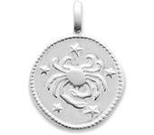 Les Trésors De Lily [Q8188] - Pendentif Argent 'Cancer' argenté (rhodié) - 16 mm plata