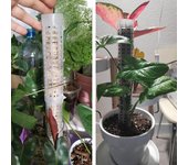 1 Juego de marco de escalada para plantas, poste de musgo de plástico apilable de alta durabilidad, plantas en maceta, palo de soporte para escalada, suministros de jardín 2pcs