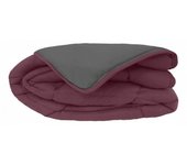 Couette chaude Bicolore Gamme Microfibre  Cocoon Non feu  Toison d'or - Cocoon Prune Acier - 160 x 220 cm pour lit 1 place