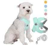 Conjunto de chaleco y correa para mascotas en forma de X para perros pequeños Meidum, arnés reflectante para cachorros y gatos, correas de pecho para caminar de malla transpirable S