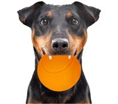 Happypet Glow Balls - Bola chirriante