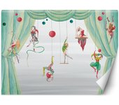 Fondo de pantalla Acróbatas de circo 100x70 gris