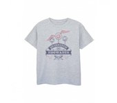 Harry Potter Girls Quidditch At Hogwarts T-Shirt 12-13 gris