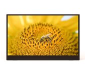 Monitor externo Plug&Play para juegos portátiles con pantalla IPS del monitor portátil FHD 1080P de 15,6 pulgadas con PU negro
