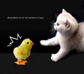 Lindo pollo de simulación saltando y corriendo juguete de relojería juguete de gato dios herramienta gato perro juguete