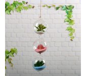 Jarrón de cristal con forma de bola para colgar en la pared, terrario, planta hidropónica, botella decorativa, micropaisaje, decoración del hogar, candelabro DIY