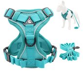Arnés y correa reflectantes para perros pequeños y medianos, accesorios para mascotas, chalecos para cachorros y gatos, arneses para perros S-suit 1.5-3.0kg