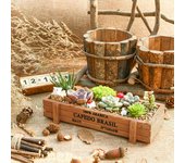 Macetero rectangular de madera para jardín, contenedor de flores para suculentas, maceta para plantar