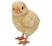Woobia Pollito x 7 x 10cm Figura de Muñeca Adorno Animal Decoración de Jardín Pájaro H15315 Mirando a la Izquierda 7.3
