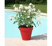 RIVIERA Pot de fleurs Soleilla - Rond - Ø 60 x 53,6 cm - Rouge