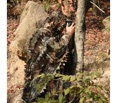 Camuflaje de caza Big Tree 2.0, capa de camuflaje biónico, camuflaje para exteriores, fotografía, observación de aves, juego CS, traje táctico M/L
