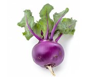 300 Semillas de Colinabo Violeta Delicatess - Permacultura SemiSauvage