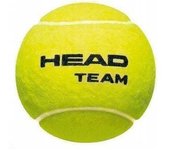 Pelotas de tenis del equipo principal (Paquete de 12) One Size amarillo