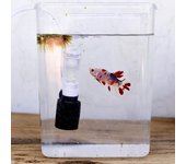 Accesorios de bomba de oxígeno sumergible silencioso para acuario con filtro pequeño ultrasilencioso one size