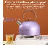 Tetera silbante de 2 l para cocina con mango ergonómico de tacto frío Tetera de acero inoxidable para cocinas de inducción, gas, eléctricas y cerámicas 2L plata