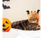 Sombrero de Halloween para mascota, disfraz de osito de peluche, murciélago, calabaza, fiesta, sombrero, gato, lindo sombrero, fiesta de fantasmas, disfraz para mascota, suministros para gatos