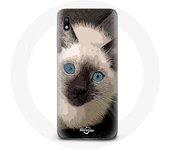 Coque pour Samsung Galaxy A10 Chat Siamois Noir et blanc aux Yeux Bleus