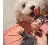 Juguete con sonido para perros, juguete interactivo para el entrenamiento de muelas, descompresión, resistente a las mordeduras, forma de burro, juguetes de peluche, suministros para mascotas M