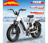 Bicicleta eléctrica G-FORCE RS ST, motor de 750 W, batería de 48 V 15,6 Ah/25 Ah, neumáticos anchos de 20 x 4 pulgadas, frenos de disco. blanco