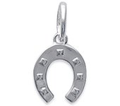 Les Trésors De Lily [D7198] - Colgante de plata 'Lucky' de plata - 9x9 mm plata