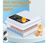 Incubadora automática de huevos de pollo, 36 huevos, 220V, incubadora de aves y codornices, incubadora de granja, incubadora de huevos 1*Battery
