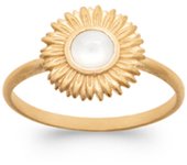 Anillo chapado en oro 'Cleopatra' piedra lunar dorada - 11 mm (girasol) 52 blanco