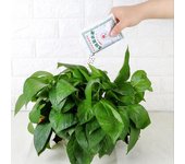 Fertilizante compuesto disponible dedicado a las flores adecuado para flores y árboles